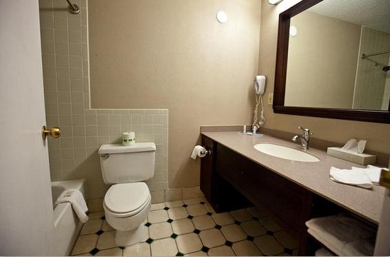 The Atrium Hotel And Conference Center Springdale Cameră foto